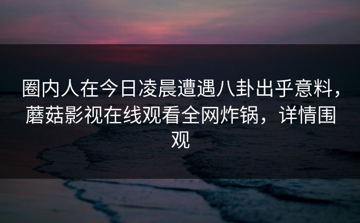 圈内人在今日凌晨遭遇八卦出乎意料，蘑菇影视在线观看全网炸锅，详情围观